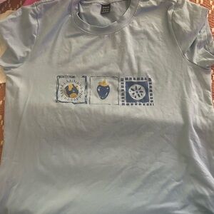 Aesthetic Blue tee shirt with fruits on front